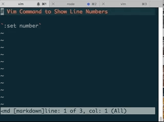 mac terminal vim line numbers